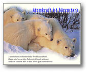 Plakataktion »Atomkraft ist b&auml;renstark« (vergr&ouml;&szlig;ern...)