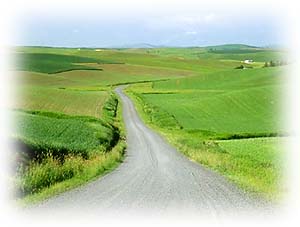 Machen Sie mit bei unserer Luftballon-Aktion: »Mit Atomkraft lacht die Sonne«